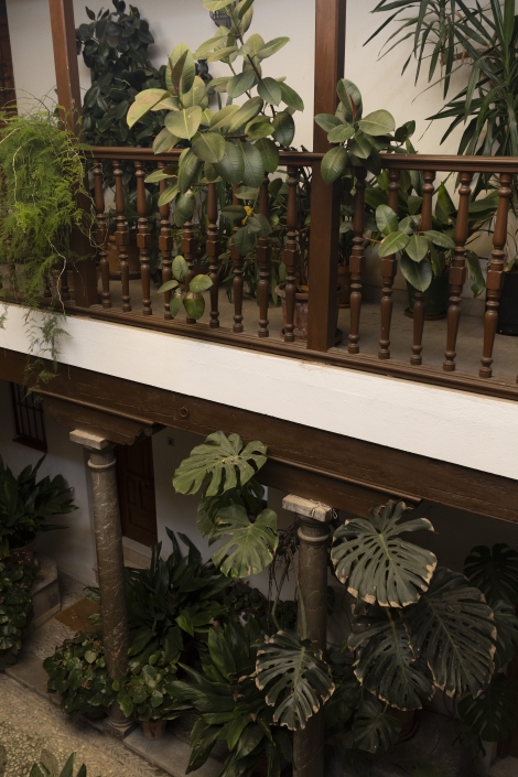 boda de destino Granada